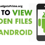 How to View Hidden Files and Folders on Android